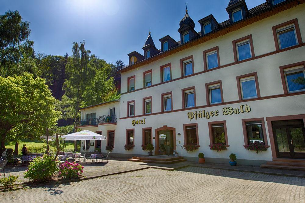 Hotel Pfaelzer Wald Bad Bergzabern Exterior foto